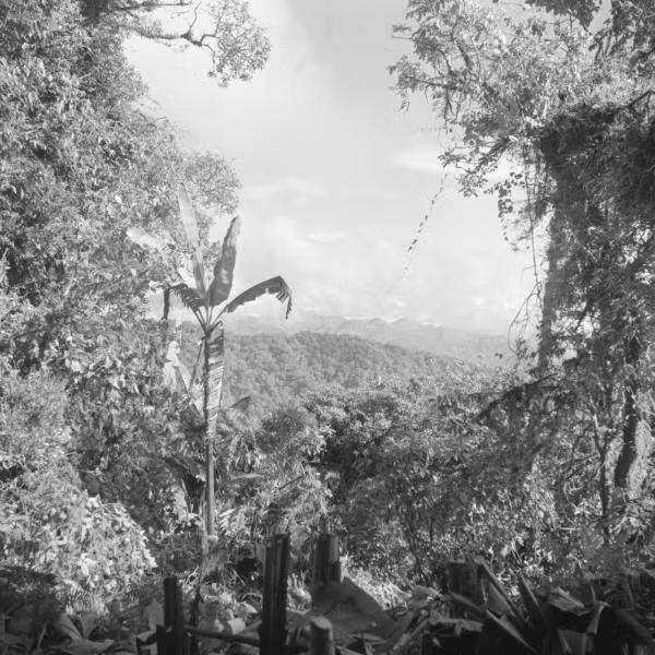 The Birthing Initiative: A Lifeline for Vulnerable Mothers