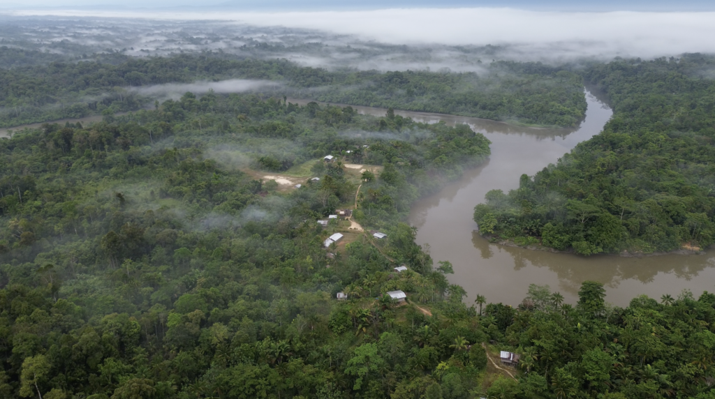 Temefin 2026 Development Project