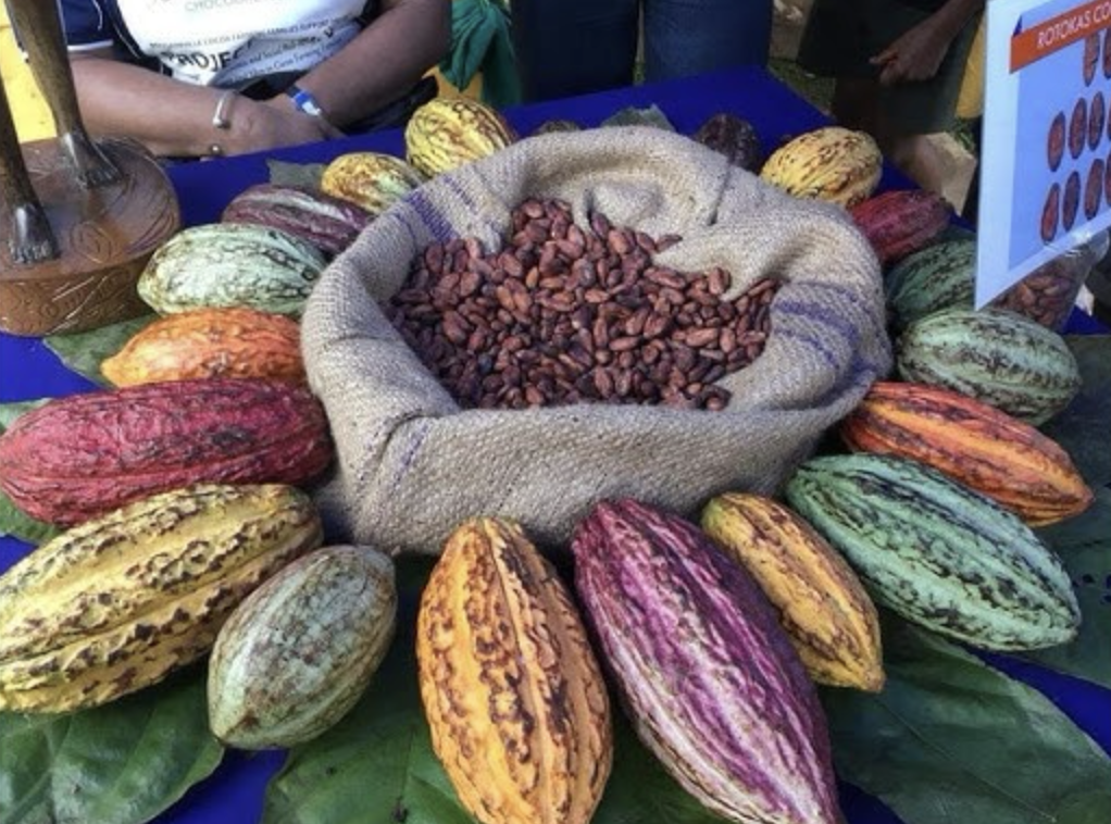 Insights from Research on the Bougainville Cacao Sector